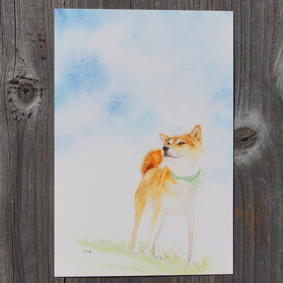 油絵　専用　穏やかなお利口さんの柴犬　見本 油絵 専用 穏やかなお利口さんの柴犬 見本