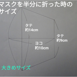 【抗菌・抗ウイルス加工生地使用】　大きめサイズ（白）　ノーズフィッター・フィルターポケット付き　洗える立体マスク 4枚目の画像