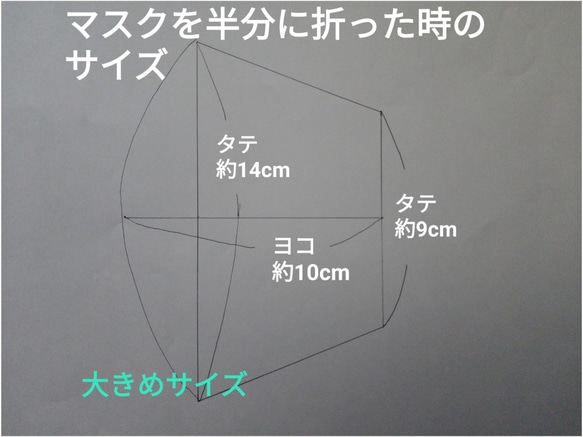 【抗菌・抗ウイルス加工生地使用】　大きめサイズ（白）　ノーズフィッター・フィルターポケット付き　洗える立体マスク 4枚目の画像