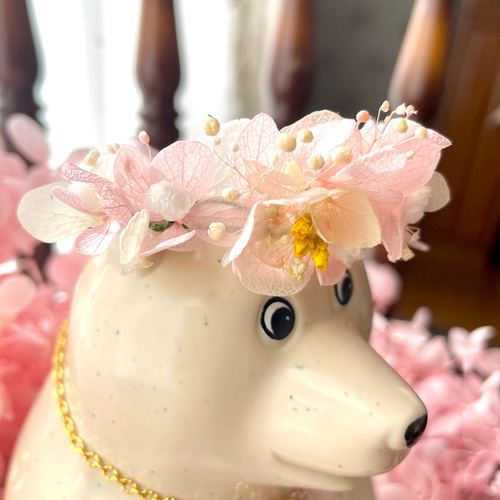 しろくま貯金箱 桜セット 桜のコースター あわいろ コースター 桜 | toumei online store