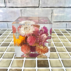 煌めくクリスタルハーバリウム〜helichrysum & globe amaranth〜 3枚目の画像