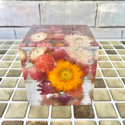 煌めくクリスタルハーバリウム〜helichrysum & globe amaranth〜 6枚目の画像