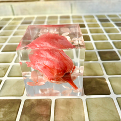 煌めくクリスタルハーバリウム〜pink rose〜 5枚目の画像