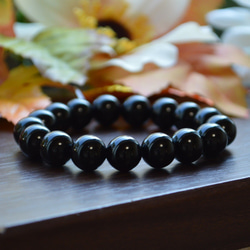 最強パワー　モリオン　⑤ vb-0214_1.jpg