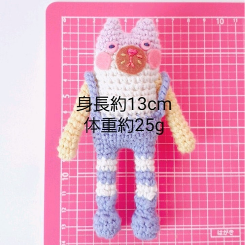 手足が動くあみぐるみ『PUIPUI』 あみぐるみ colorsuppli みじゅりー