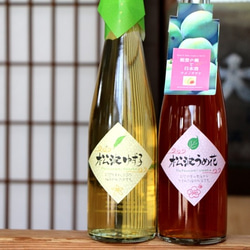 【奥能登の和酒set】柚子酒「松波ゆず子」/梅酒「松波うめ花」 500ml 2本入 2枚目の画像