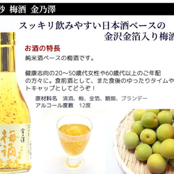 高砂 飲み比べセットC　吟醸生貯蔵酒 本醸造 純米酒石川門 金箔入り梅酒 純米吟醸金沢浪漫 300ml×5本 8枚目の画像