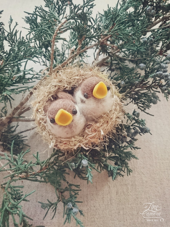羊毛フェルト　野鳥　鳥　小鳥　オシドリ雛 羊毛フェルト 野鳥 鳥 小鳥 オシドリ雛 羊毛フェルトの 愛らしい
