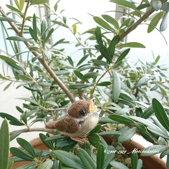 羊毛フェルト　スズメのヒナ【うたう】 6枚目の画像