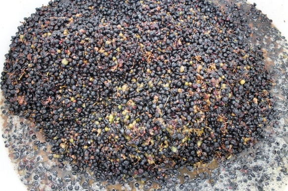 葡萄ヤマソーヴィニヨン100％本格果実酒750ml辛口赤ワイン山形県東根市産 7枚目の画像