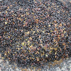 ◆辛口◆葡萄やまぶどう100％本格果実酒750ml赤ワイン山形県舟形町産 5枚目の画像