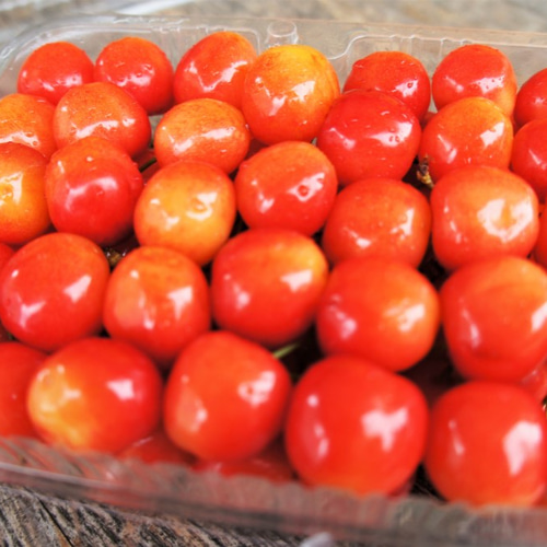 ヒステリックス 日本製 デニム さくらんぼ Cherry フルーツ セレブ 高級 ヒステリックス 日本製 デニム さくらんぼ Cherry フルーツ