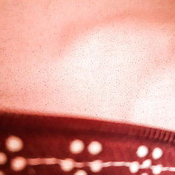 椿柄のキャラメルポーチ（赤白ピンク） 6枚目の画像