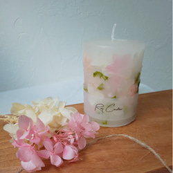 ボタニカルキャンドル　クリスマスキャンドル 木芯キャンドル ボタニカルキャンドル クリスマスキャンドル 木芯キャンドル