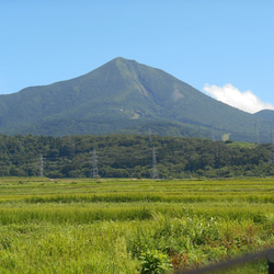 Bandaisan Apple x Sake (磐梯山 りんご酒） 3枚目の画像