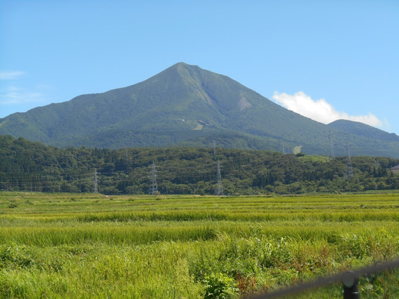 Bandaisan Apple x Sake (磐梯山 りんご酒） 3枚目の画像