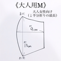 保湿 大人用M 立体マスク（くすみピンク） 4枚目の画像