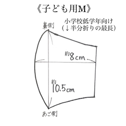  第4張的照片