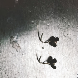 黒花ピアス Primula【受注製作】 4枚目の画像