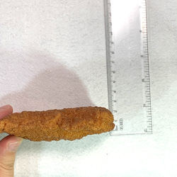 展示品ホットスナック（フライドチキン）115ｇ　　食品サンプル　業務用 4枚目の画像