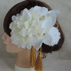 蝴蝶 - 純白色的禮服蘭花和發飾的祝賀 - 和服牡丹的婚姻 第4張的照片