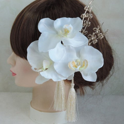 蝴蝶蘭 - 清潔發飾 - 純白色禮服的新娘般的蘭花 第2張的照片