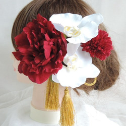 紅釉和白色蝴蝶蘭的華麗髮飾へ給白色純真和紅色的新娘掛 第1張的照片