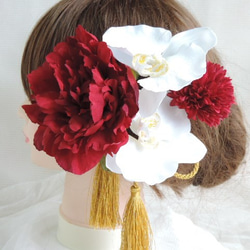 紅釉和白色蝴蝶蘭的華麗髮飾へ給白色純真和紅色的新娘掛 第2張的照片