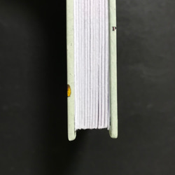 388.草の想い　植物博士の御朱印帳　プリントペーパー（イタリア製）使用11山 4枚目の画像