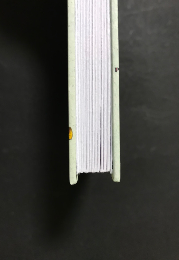 388.草の想い　植物博士の御朱印帳　プリントペーパー（イタリア製）使用11山 4枚目の画像