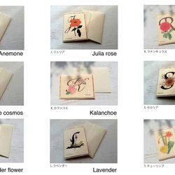 植物藝術和字母卡套裝/5張信封卡自由組合 第2張的照片