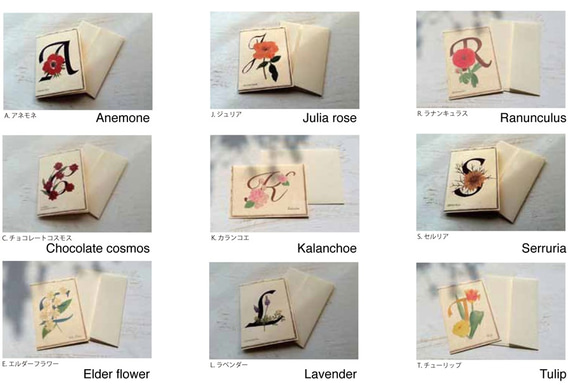 Botanical art and alphabet card set / 5envelope cards 組合せ自由 2枚目の画像