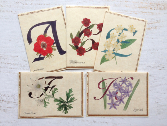 Botanical art and alphabet card set / 5envelope cards 組合せ自由 1枚目の画像