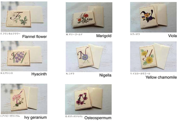Botanical art and alphabet card set / 5envelope cards 組合せ自由 3枚目の画像