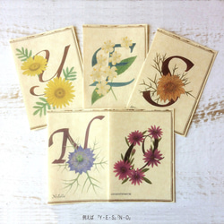 Botanical art and alphabet card set / 5envelope cards 組合せ自由 4枚目の画像