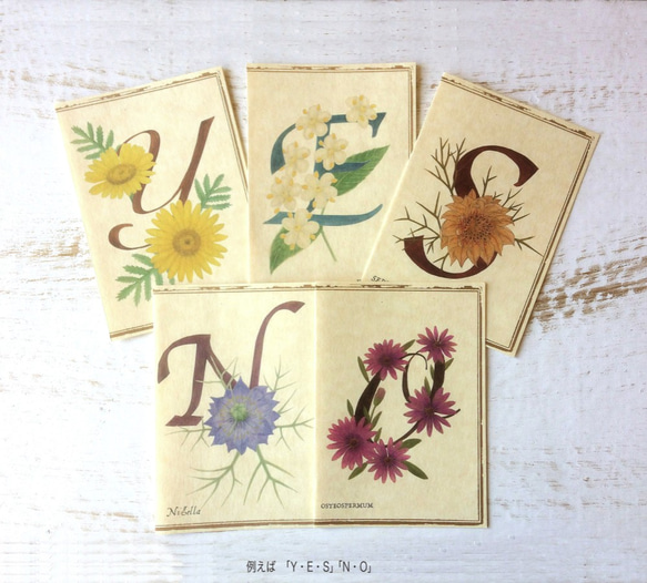 Botanical art and alphabet card set / 5envelope cards 組合せ自由 4枚目の画像