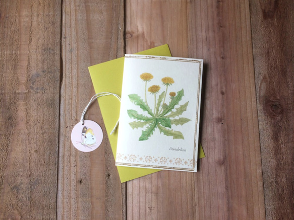 greeting card / タンポポ　Dandelion　グリーティングカード 2セット　植物画 1枚目の画像