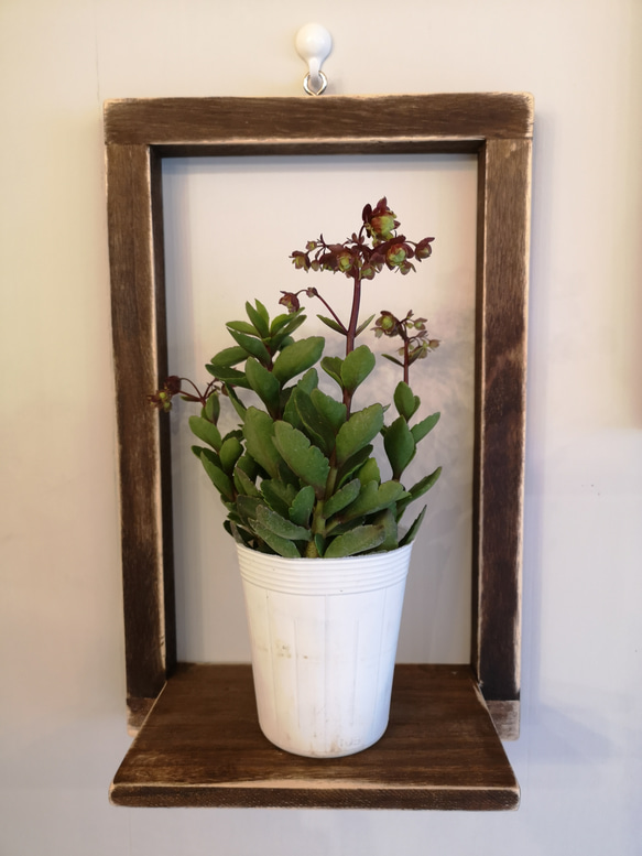 壁掛け花瓶置き(観葉植物も置けます) タペストリー・壁掛け