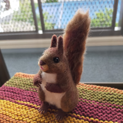 羊毛フェルト エゾリス 羊毛フェルト Musa 通販 11566583｜Creema