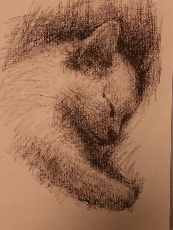 ペット 似顔絵　オーダーメイド 猫似顔絵 ペットポートレイト 3枚目の画像