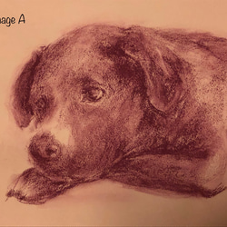 ペットの似顔絵 ペットポートレート dog-portraits オーダーメイド 犬似顔絵 パステル画 3枚目の画像