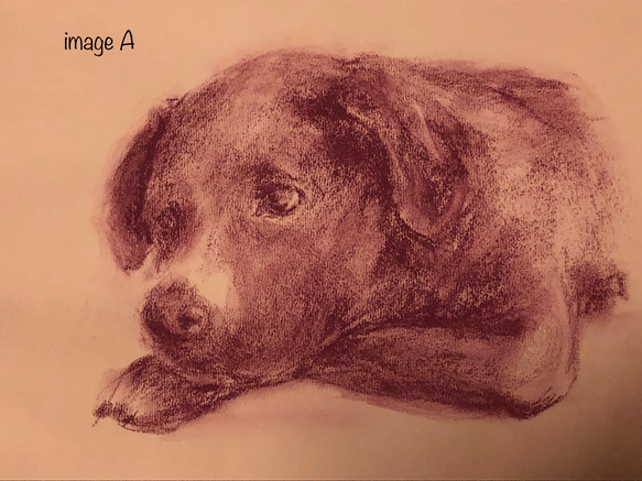 ペットの似顔絵 ペットポートレート dog-portraits オーダーメイド 犬似顔絵 パステル画 3枚目の画像