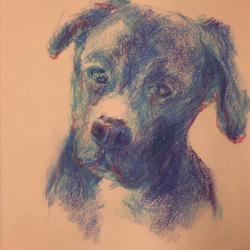 ペットの似顔絵 ペットポートレート dog-portraits オーダーメイド 犬似顔絵 パステル画 7枚目の画像