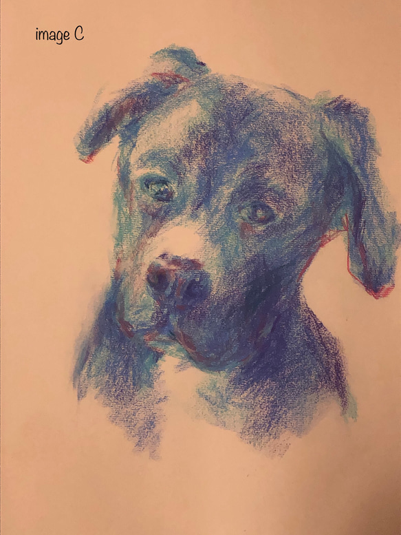 ペットの似顔絵 ペットポートレート dog-portraits オーダーメイド 犬似顔絵 パステル画 7枚目の画像