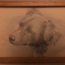 ペットの似顔絵 ペットポートレート dog-portraits オーダーメイド 犬似顔絵 パステル画 9枚目の画像