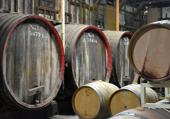 ホンジョー　甲州ドライ大樽貯蔵　（白ワイン、辛口、日本ワイン） 2枚目の画像