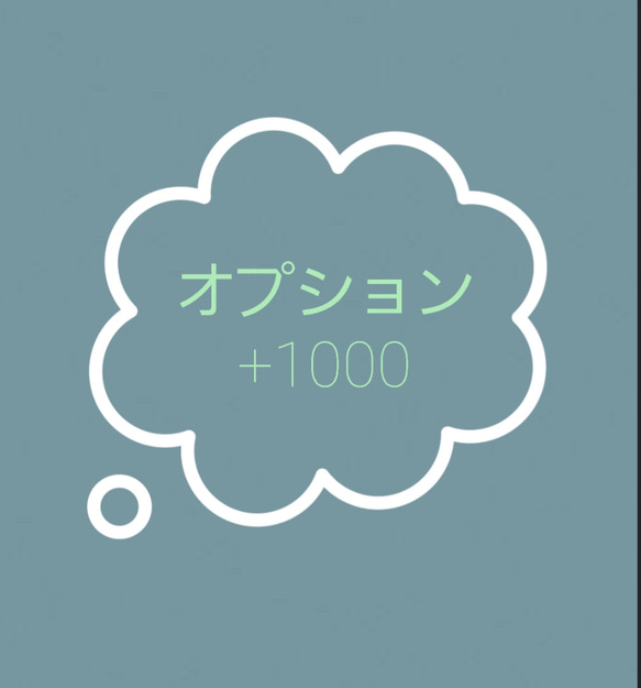 オプション　+1000 1枚目の画像