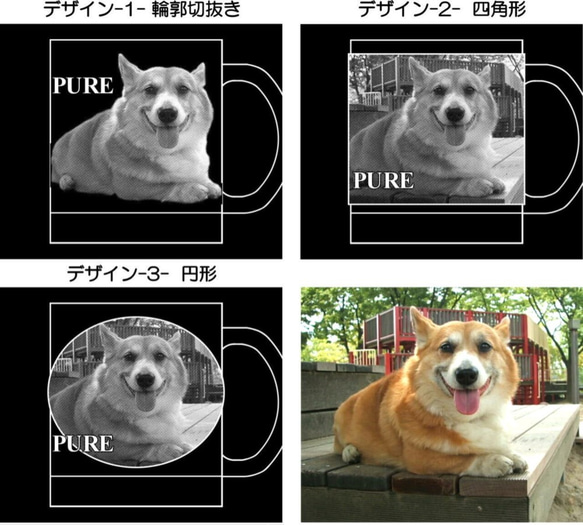  第4張的照片