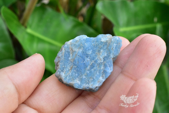 藍晶石★カイヤナイト　原石　kya009 2枚目の画像