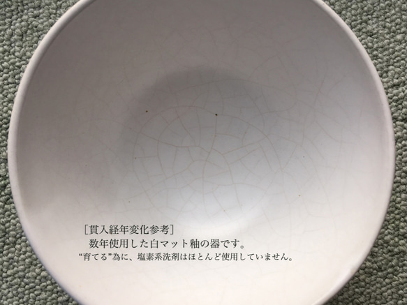 《白マット器》リム・皿　Φ13.3cm（白マット釉／貫入）［W-13] 5枚目の画像
